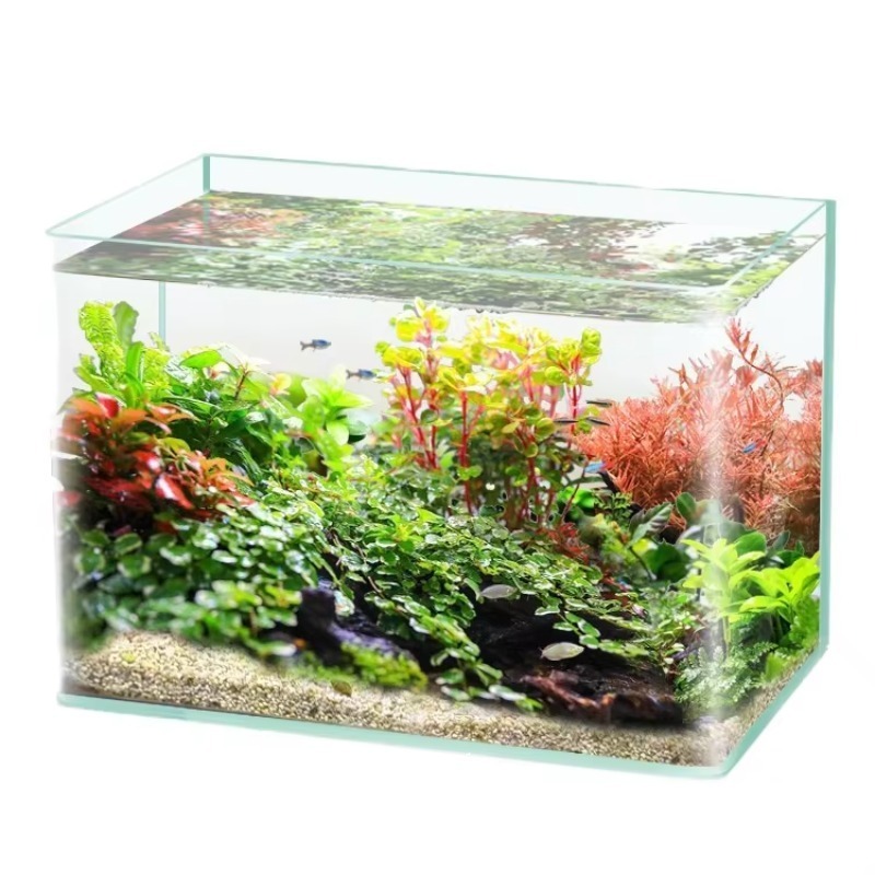 Saltwater Tank - صندوق تعبئة سطح المكتب لحوض السمك،