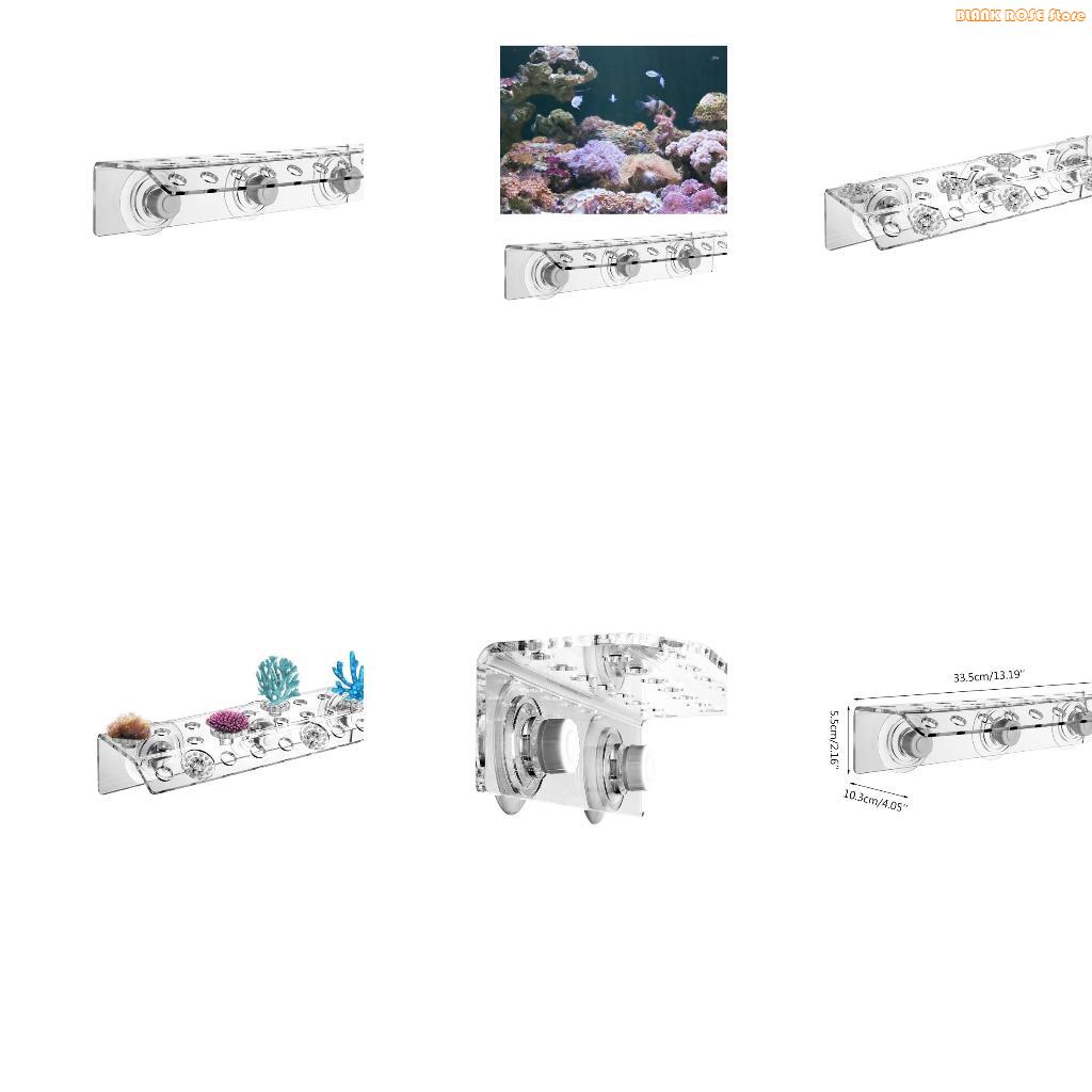 Reef Aquarium - K1AE حامل شظايا مرجاني أكريليك لحوض