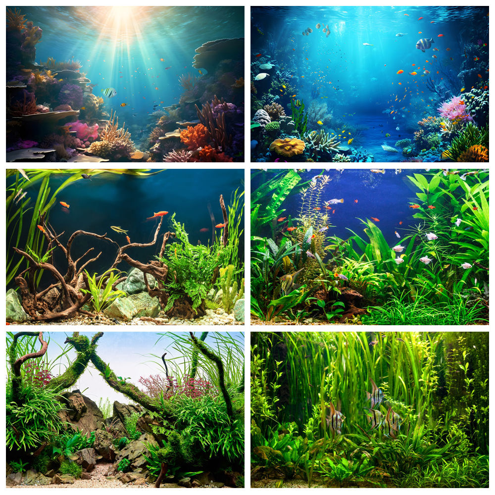Aquarium Marine World - تحت قاع البحر العالم التصوير خلفية