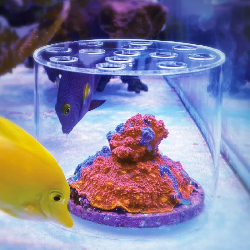 Reef Aquarium - Vastocean حوض السمك الاكريليك المرجان المغذية