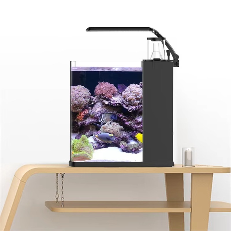 حوض أسماك ميني من الزجاج فائق  - مراجعة Marine Aquarium Cube وسعره