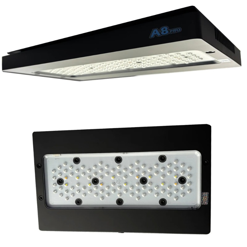 أضواء LED للشعاب المرجانية وال - مراجعة Reef Lighting وسعره