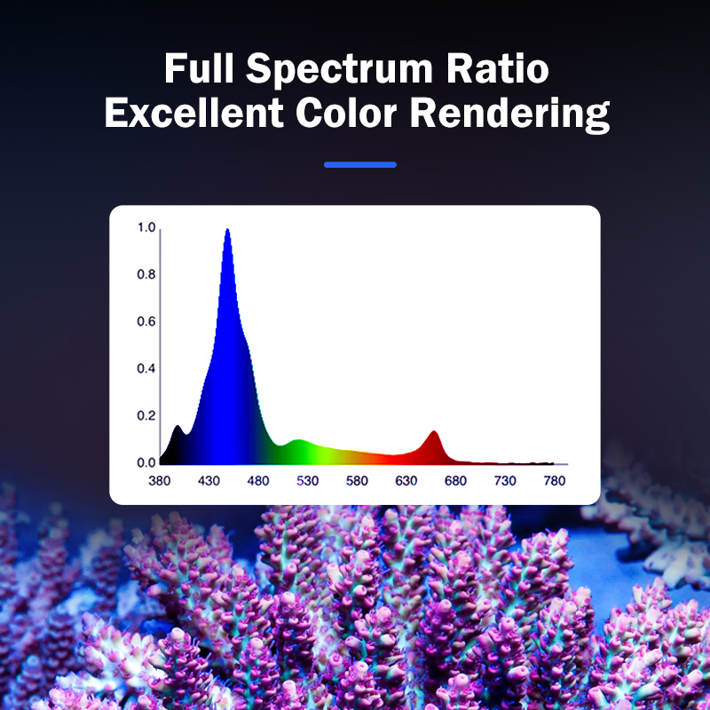 مصباح KASSRAY T169/T215 LED لل - مراجعة Reef Aquarium وسعره