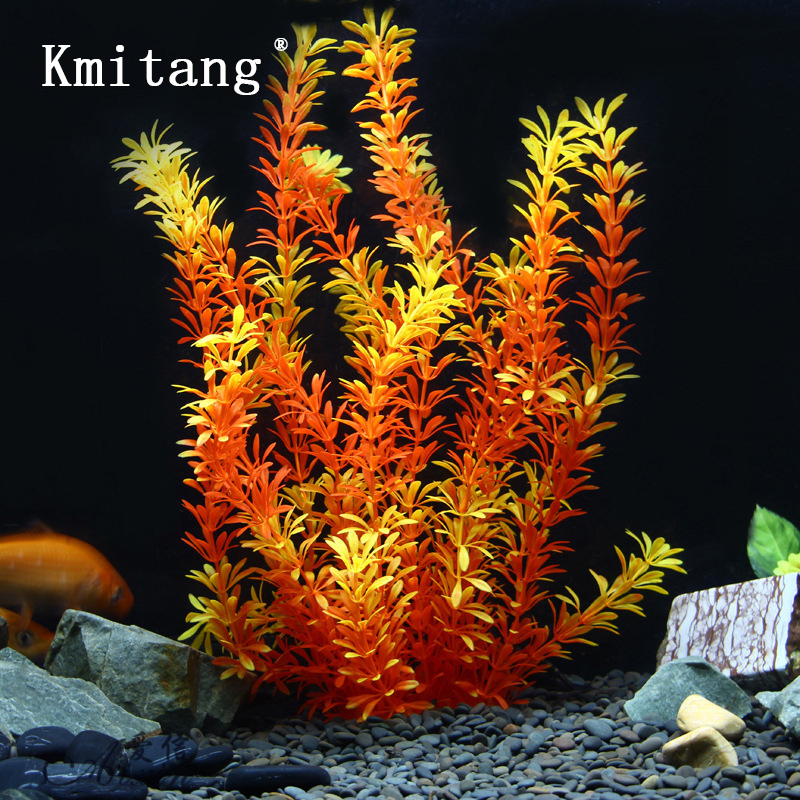 نباتات استوائية اصطناعية بطول  - مراجعة Marine Fish Tank وسعره