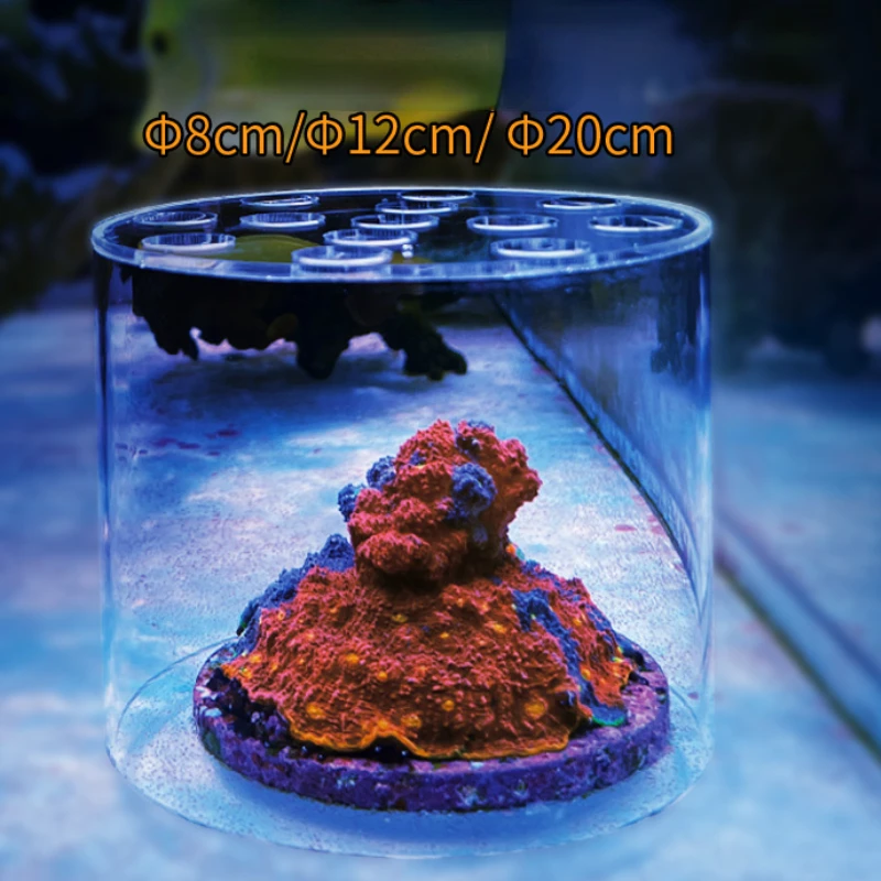 Vastocean حوض السمك الاكريليك  - مراجعة Reef Aquarium وسعره
