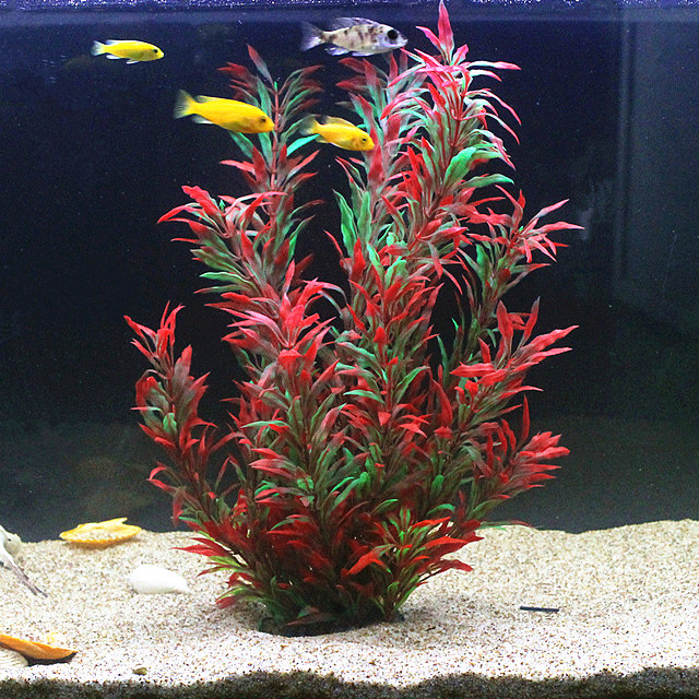 نباتات اصطناعية نادرة لأحواض ا - مراجعة Marine Fish Tank وسعره