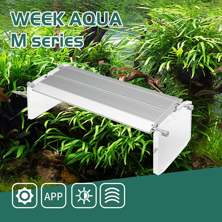 إضاءة LED من WEEK AQUA لحوض ال - مراجعة Reef Lighting وسعره