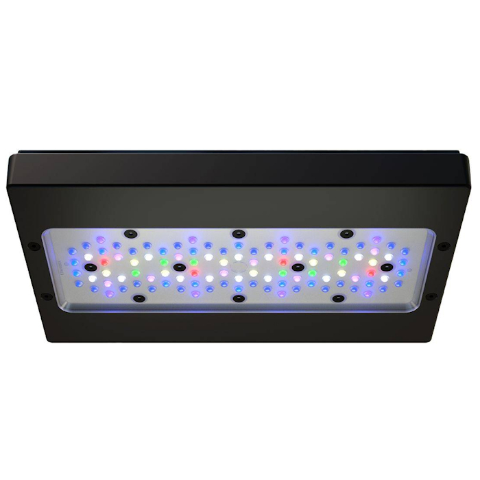إضاءة LED A8 PRO III Max و Blu - مراجعة Reef Lighting وسعره