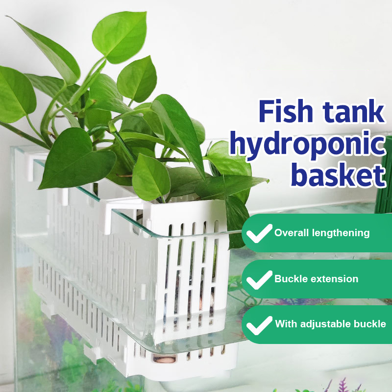 حامل نباتات مائية معلق لحوض ال - مراجعة Marine Aquarium وسعره